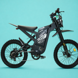 CROSS EBIKE GT 2000